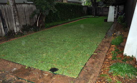 Backyard during storm