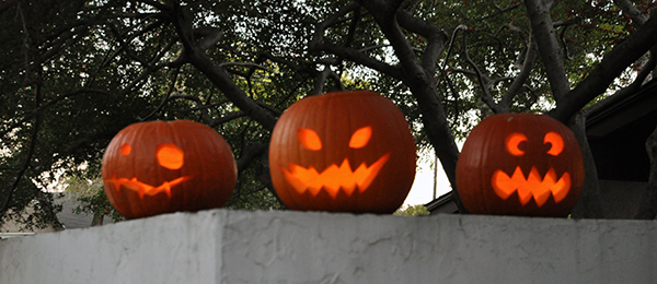 Bob Borson Halloween Pumpkins 2012