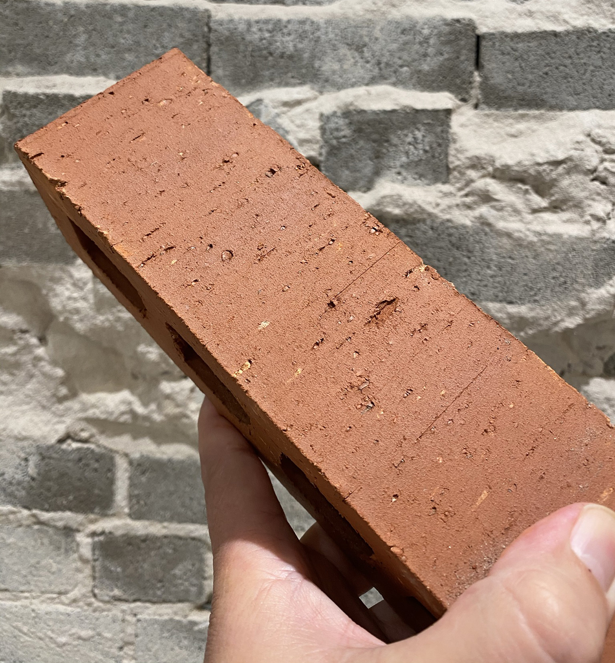 Brick Texture - wire cut