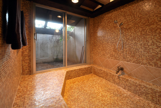 Entry View of shower