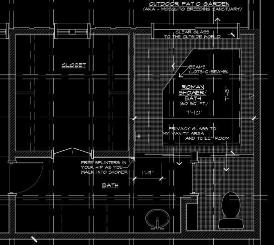 Master Bathroom Shower Plan