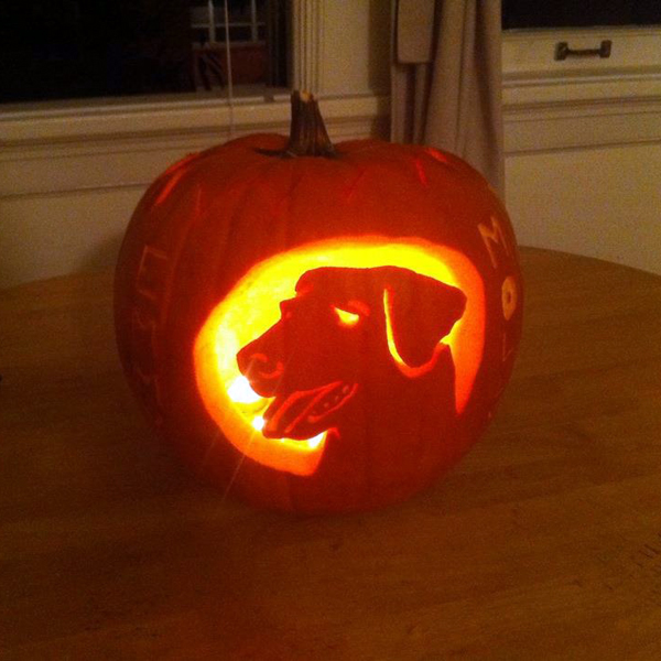 Pumpkin carved by Mike Riscica