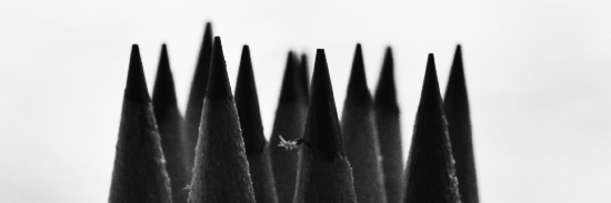 pencil tip black and white