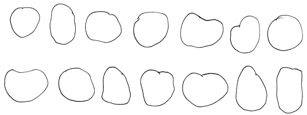 pumpkin sketches - the outline