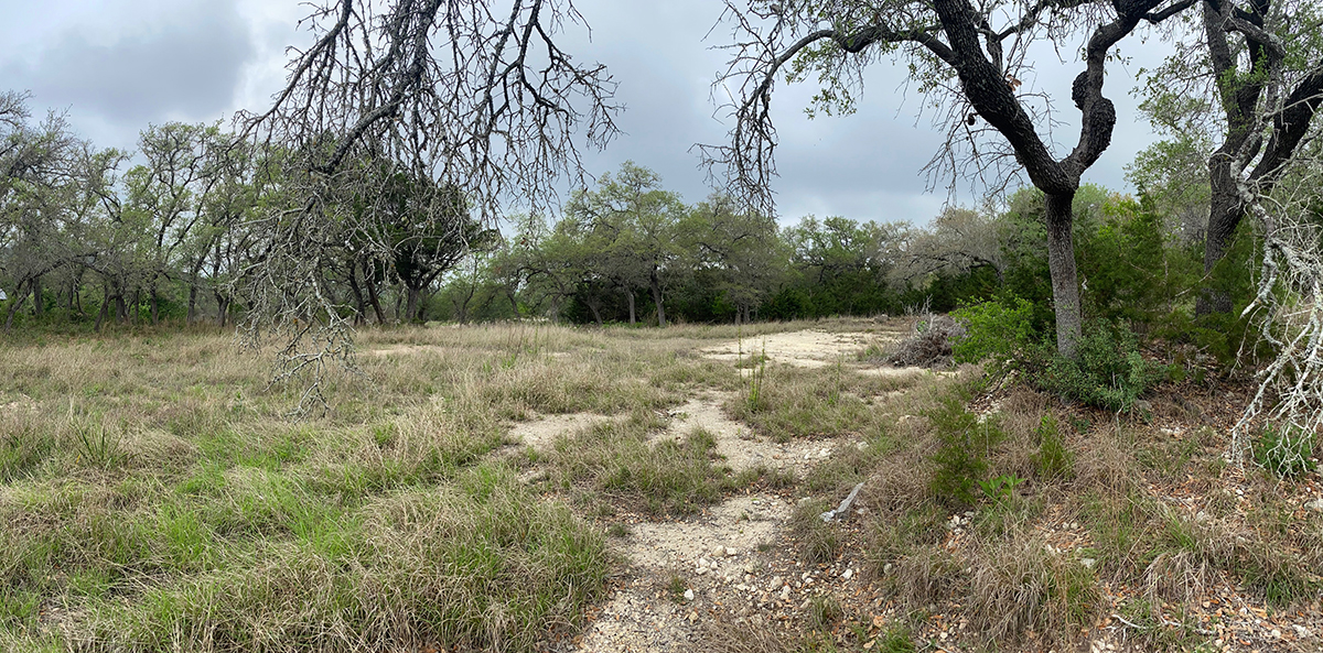 San Antonio Lower Site - The Front Door Experience