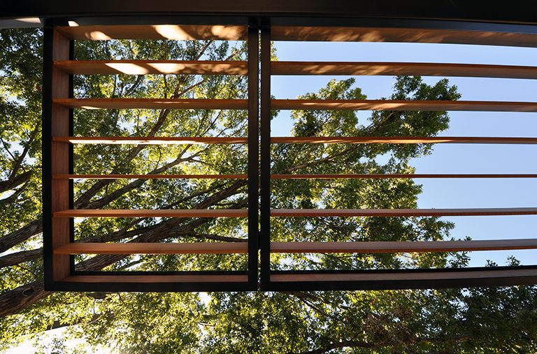 steel and wood trellis - looking up