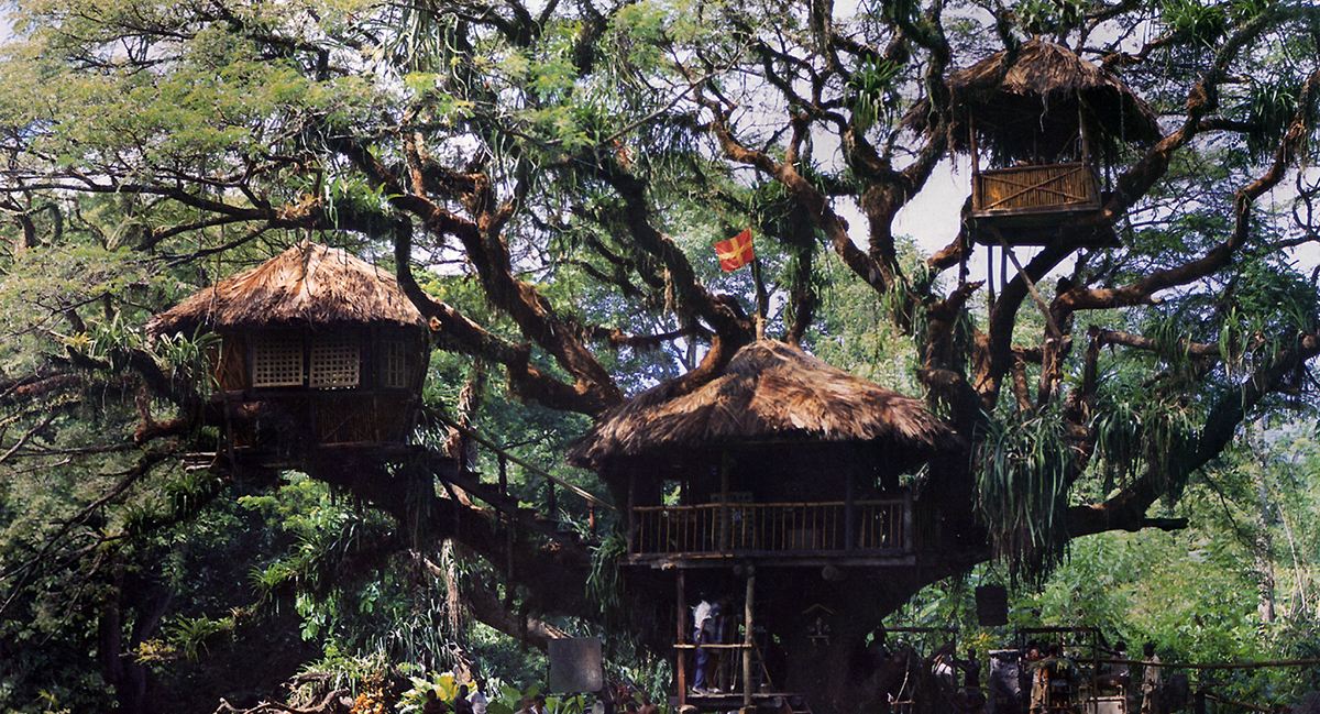 Andrew Hawkins living in a Treehouse