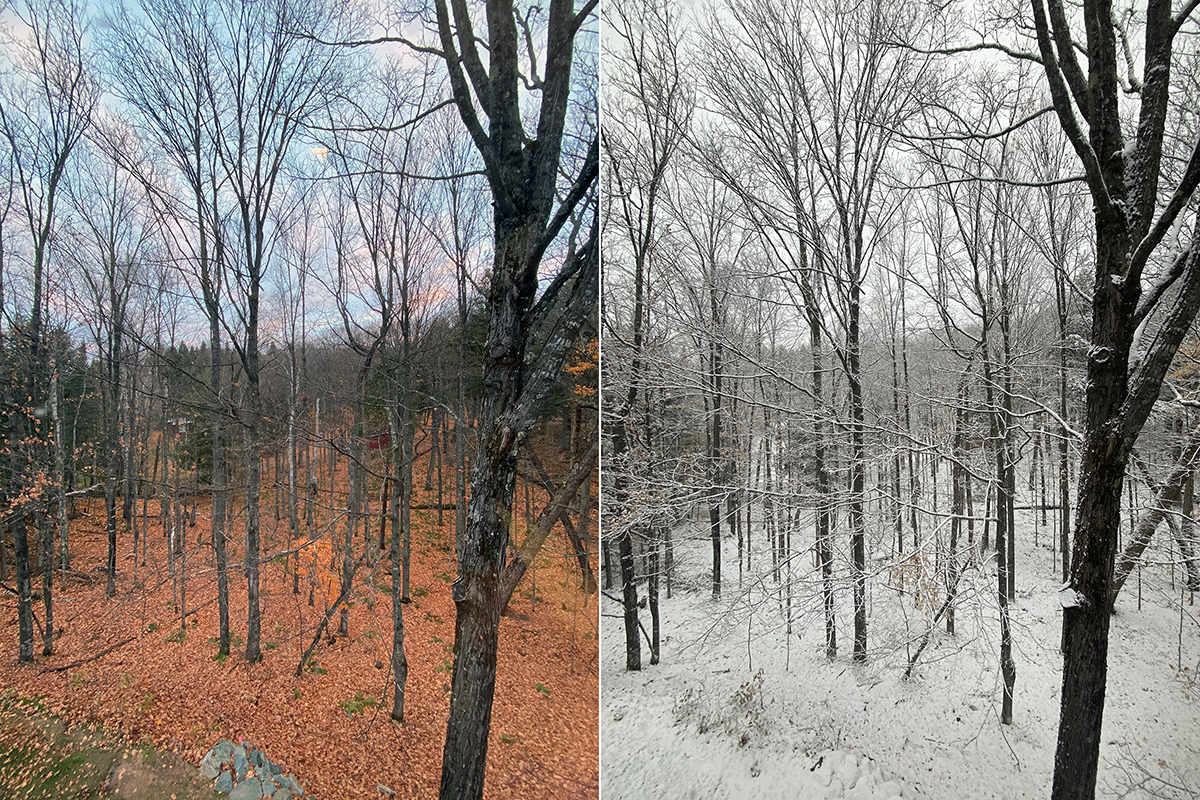 View from Pantry Window